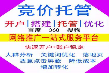 SEM优化策略：案例解读成功之道